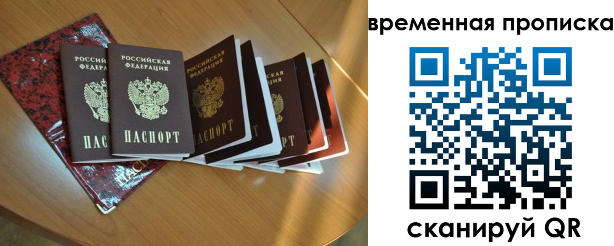 прописка в Дубне